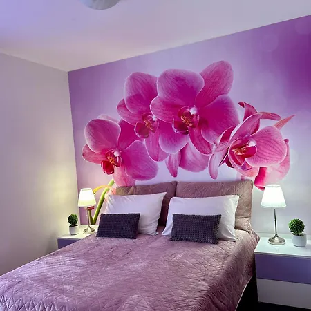 Kiki Bed & Breakfast 3*