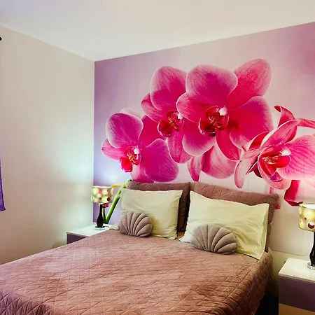 Kiki Bed & Breakfast 3*